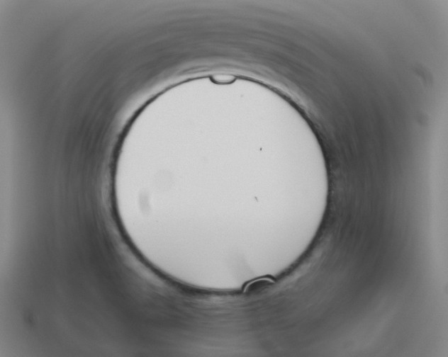 X0000113261518200910081329