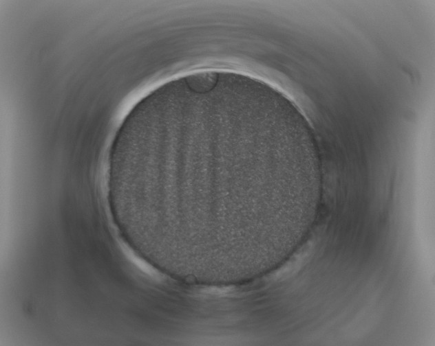 X0000113261519200910081329
