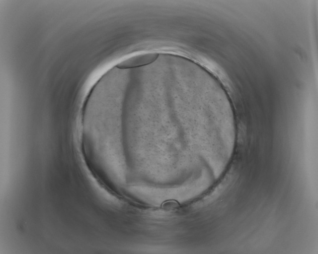 X0000113261520200910081329
