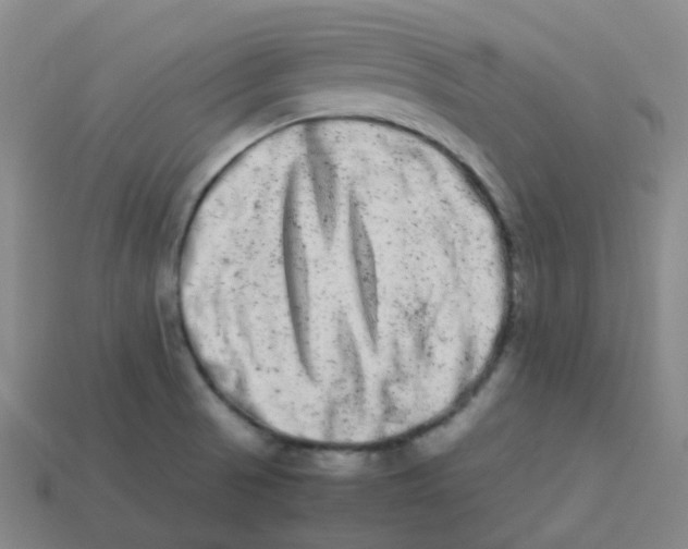 X0000113261521200910081329