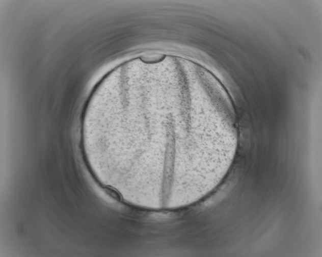 X0000113261523200910081329