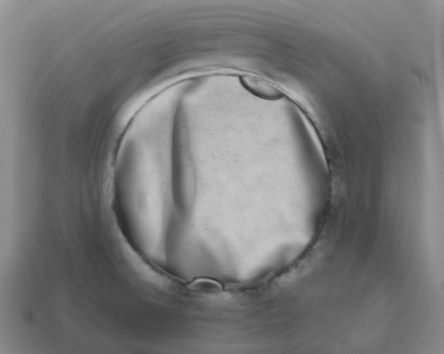 X0000113261524200910081329