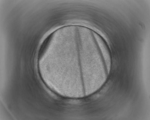 X0000113261525200910081329