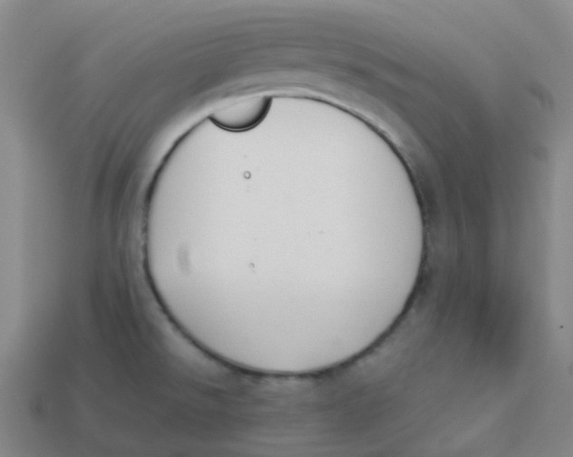 X0000113261526200910081329
