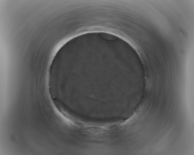 X0000113261527200910081329