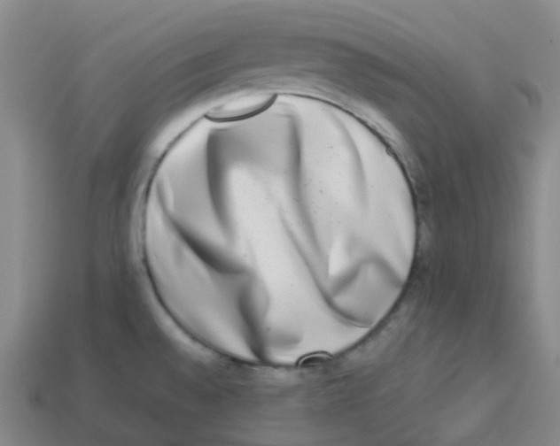 X0000113261528200910081329