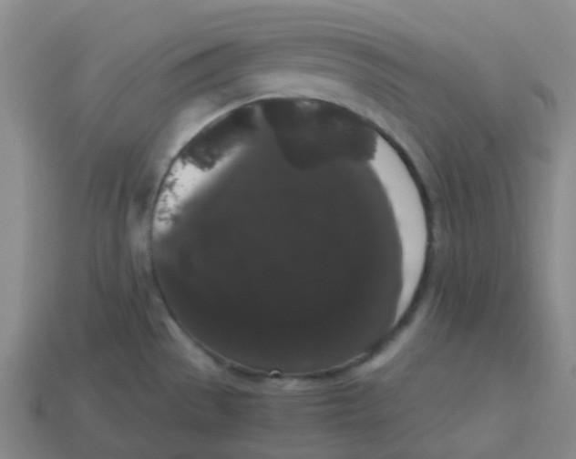 X0000113261529200910081329