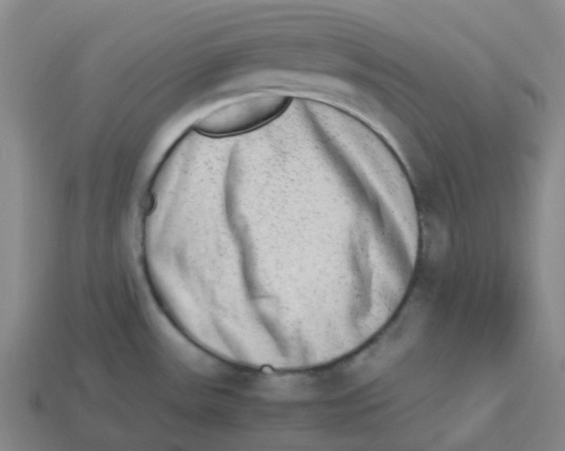X0000113261531200910081329