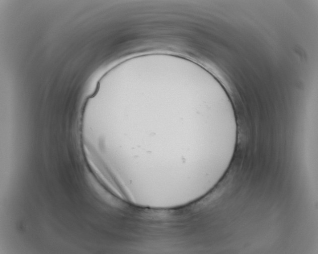 X0000113261532200910081329