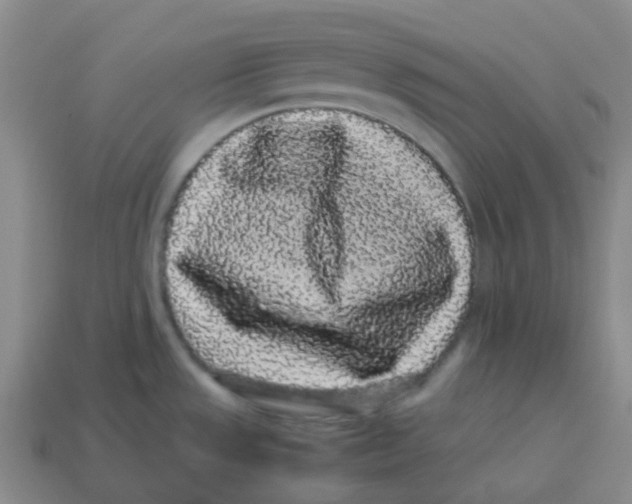 X0000113261533200910081329