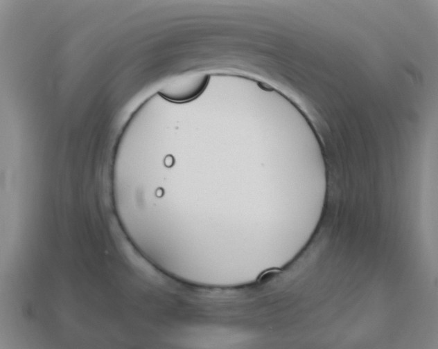 X0000113261534200910081329