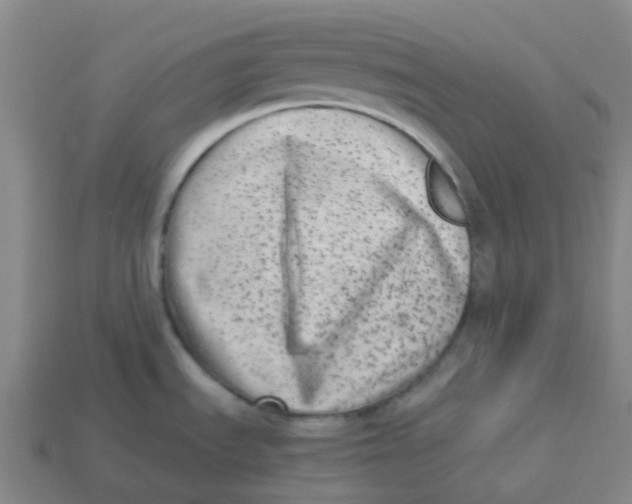 X0000113261535200910081329