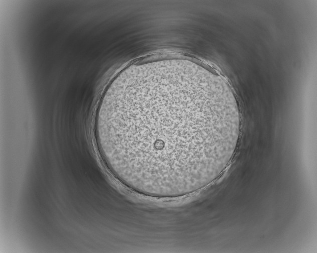 X0000113260001200910221048
