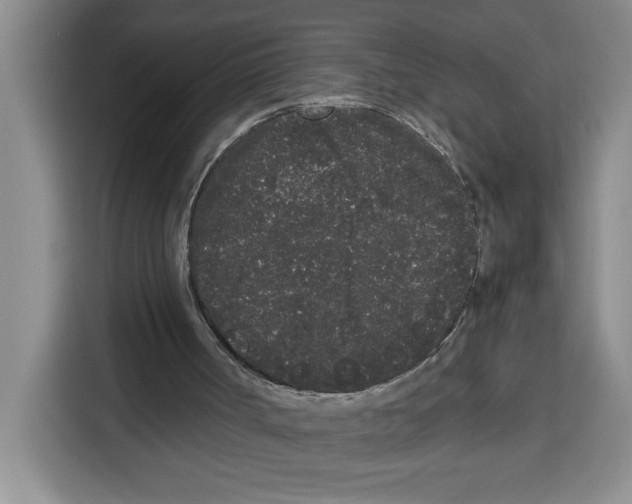 X0000113260002200910221048