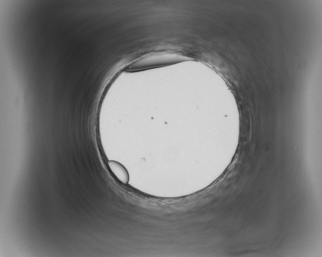 X0000113260003200910221048