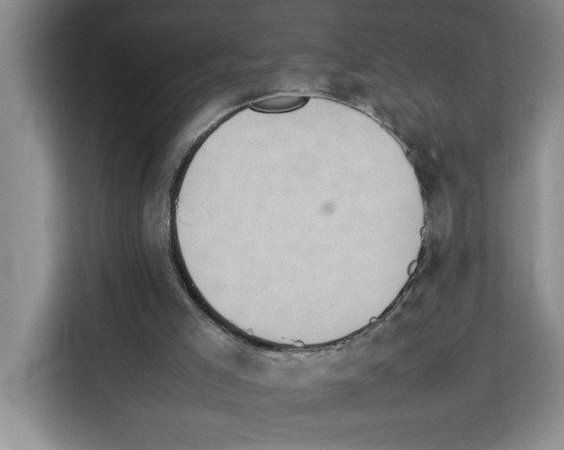 X0000113260005200910221048