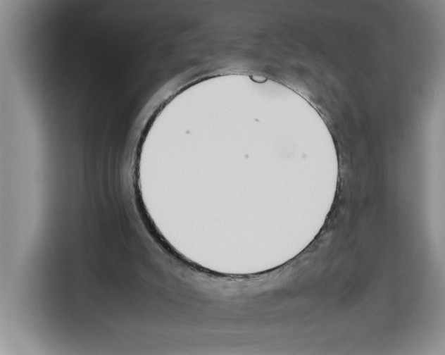 X0000113260007200910221048