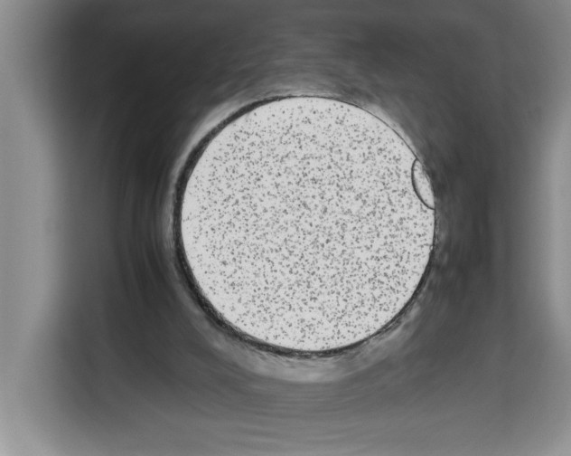 X0000113260008200910221048