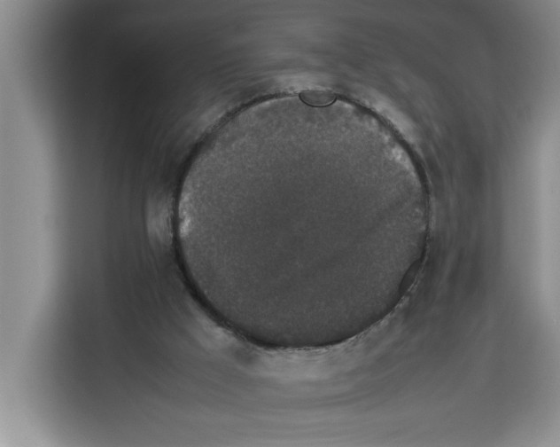 X0000113260009200910221048