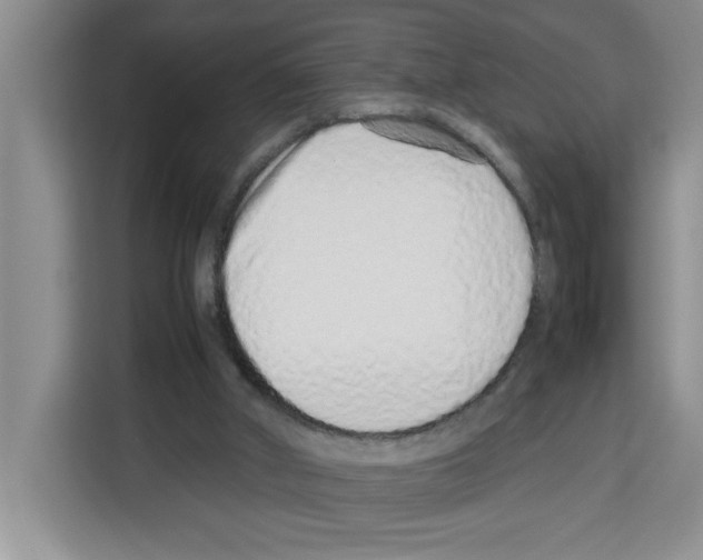 X0000113260010200910221048
