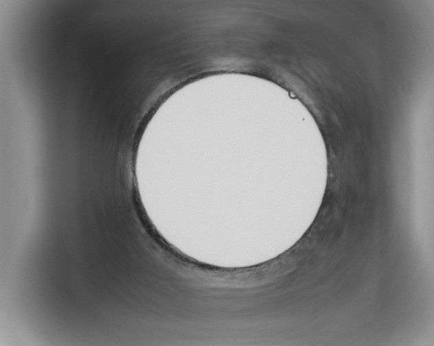 X0000113260011200910221048