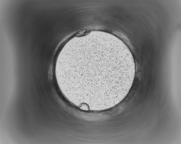 X0000113260012200910221048