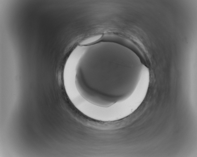 X0000113260019200910221048