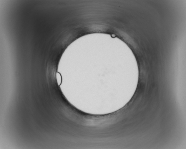 X0000113260021200910221048