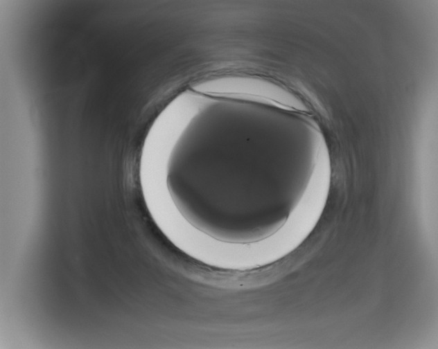 X0000113260023200910221048