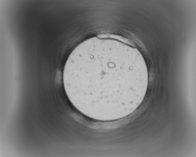 X0000113260025200910221048