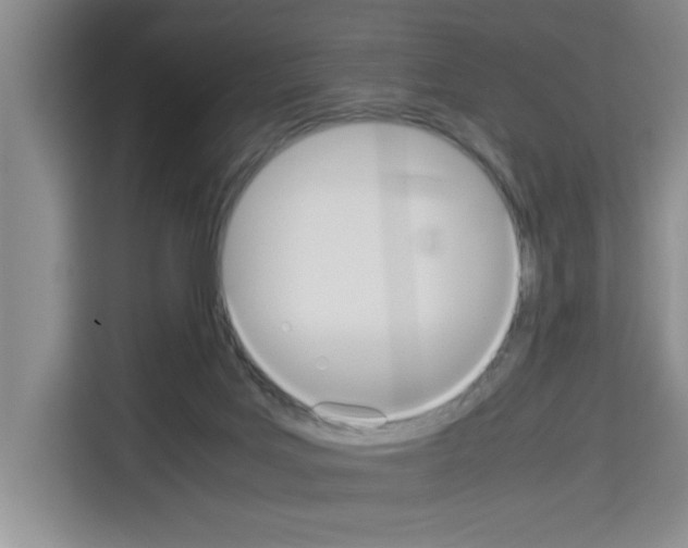 X0000113260027200910221048