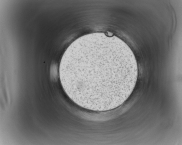 X0000113260028200910221048