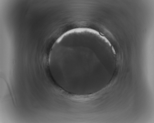 X0000113260029200910221048