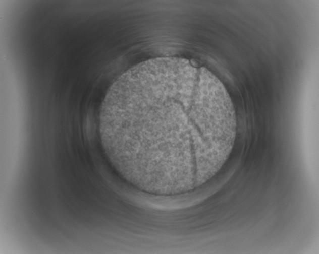 X0000113260030200910221048