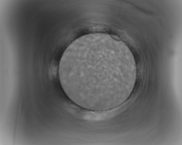X0000113260033200910221048