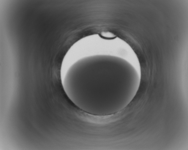 X0000113260035200910221048