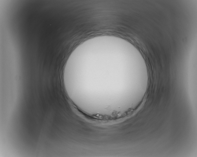 X0000113260037200910221048