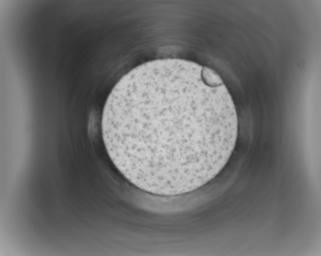 X0000113260038200910221048