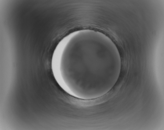 X0000113260039200910221048