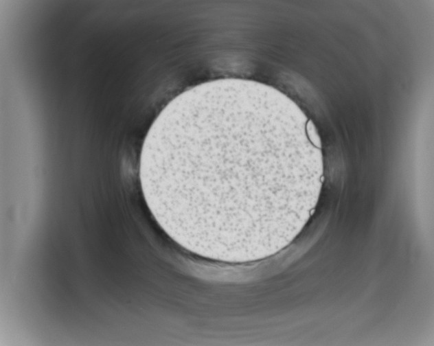 X0000113260040200910221048