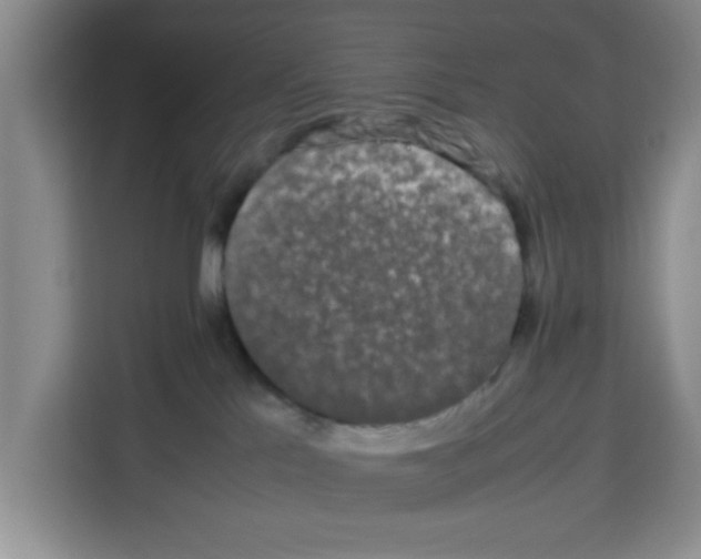 X0000113260041200910221048