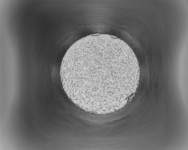 X0000113260043200910221048