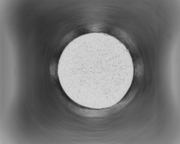 X0000113260044200910221048