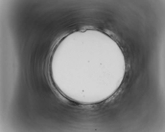 X0000113260049200910221047
