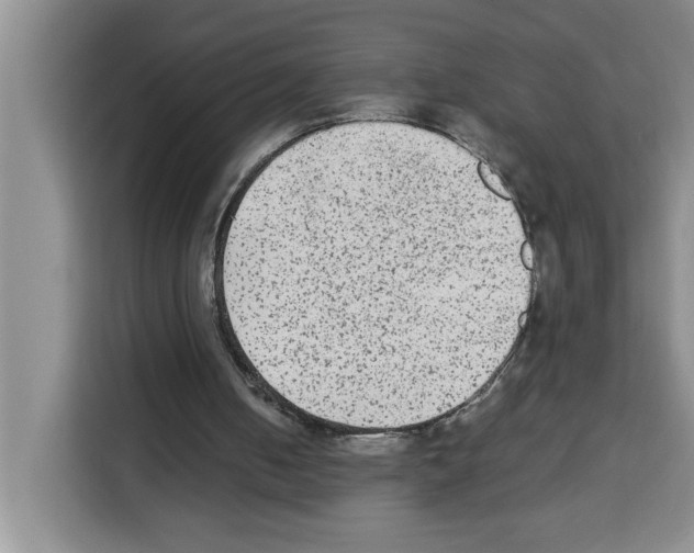 X0000113260050200910221047