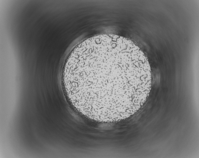 X0000113260051200910221047