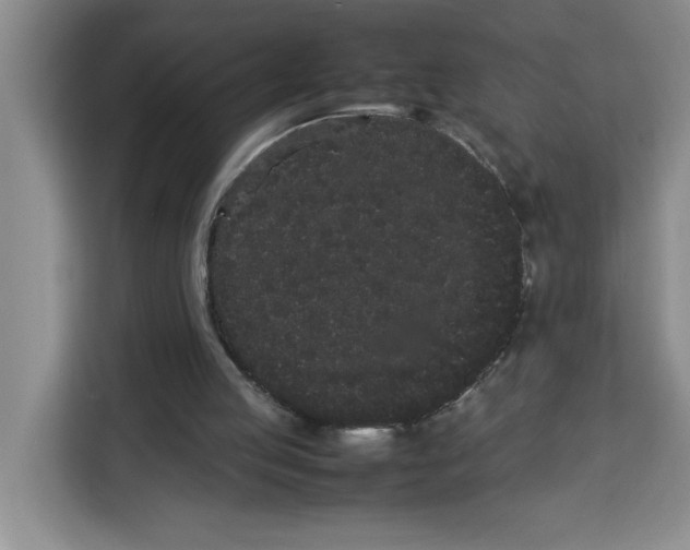 X0000113260053200910221047