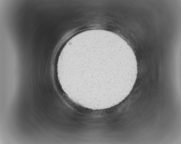 X0000113260055200910221047