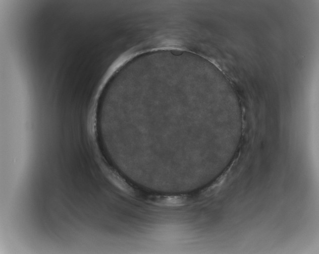 X0000113260056200910221047