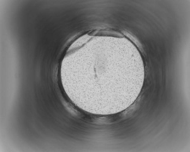 X0000113260058200910221047